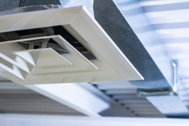 Best Home Air Vent Cleaning  in Lake Holiday, IN