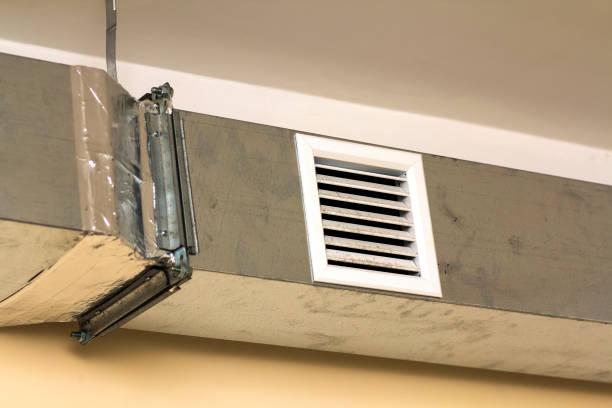 Best Residential Air Duct Cleaning  in Lake Holiday, IN